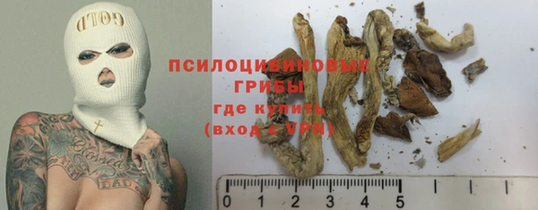 дживик Нефтегорск