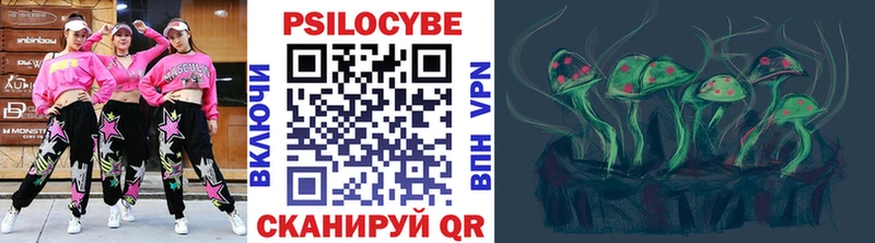 Галлюциногенные грибы Psilocybine cubensis  Купить где  Туапсе 